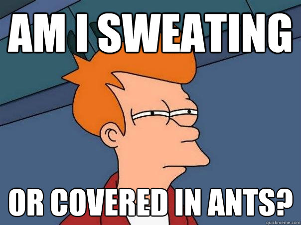 Am i sweating or covered in ants?  Futurama Fry