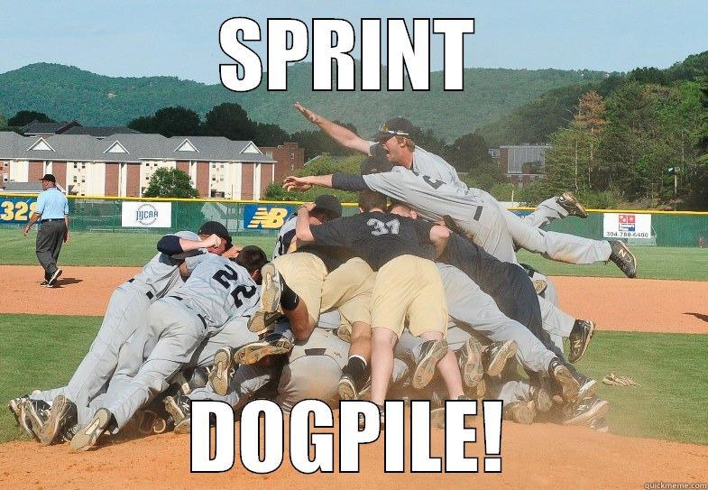 SPRINT DOGPILE! Misc