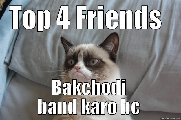 TOP 4 FRIENDS  BAKCHODI BAND KARO BC Grumpy Cat