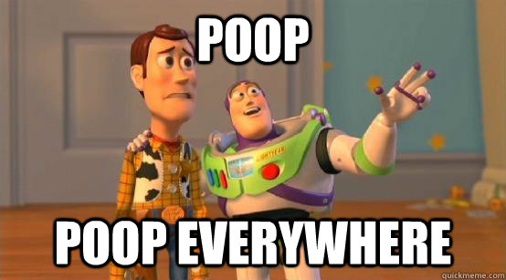 poop poop everywhere - poop poop everywhere  Buzz Glitter