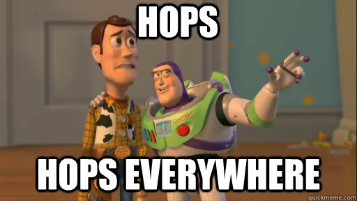 Hops Hops Everywhere - Hops Hops Everywhere  Everywhere