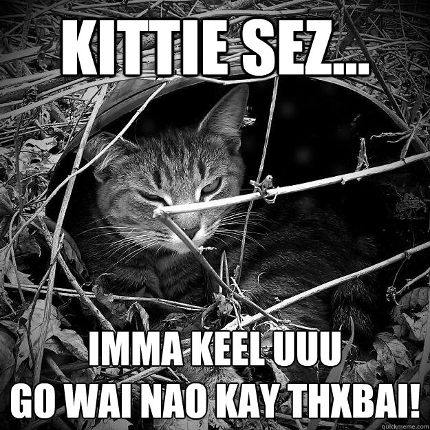 Kittie sez... IMMA KEEL uuu
Go wai nao kay thxbai! - Kittie sez... IMMA KEEL uuu
Go wai nao kay thxbai!  The death glare