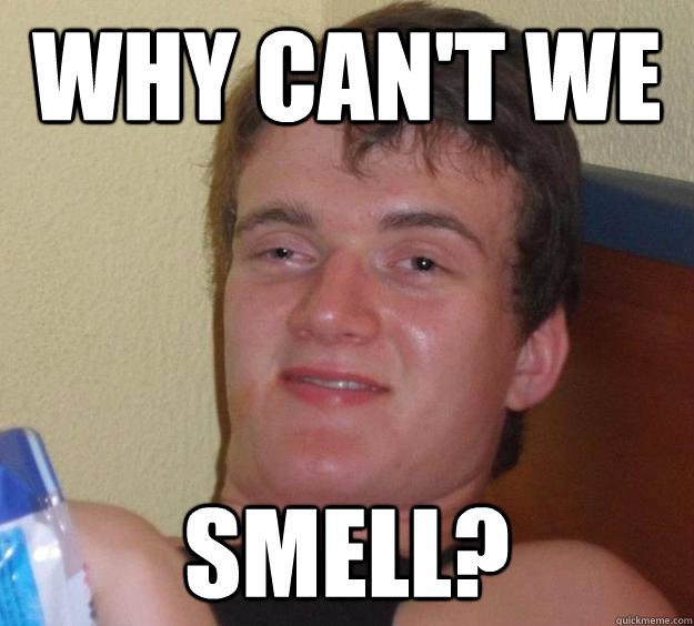 why can't we  smell?  10 Guy