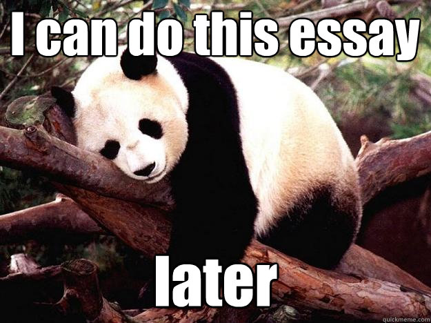 I can do this essay later - I can do this essay later  Procrastination Panda