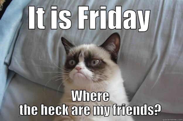 It is Friday - IT IS FRIDAY WHERE THE HECK ARE MY FRIENDS? Grumpy Cat