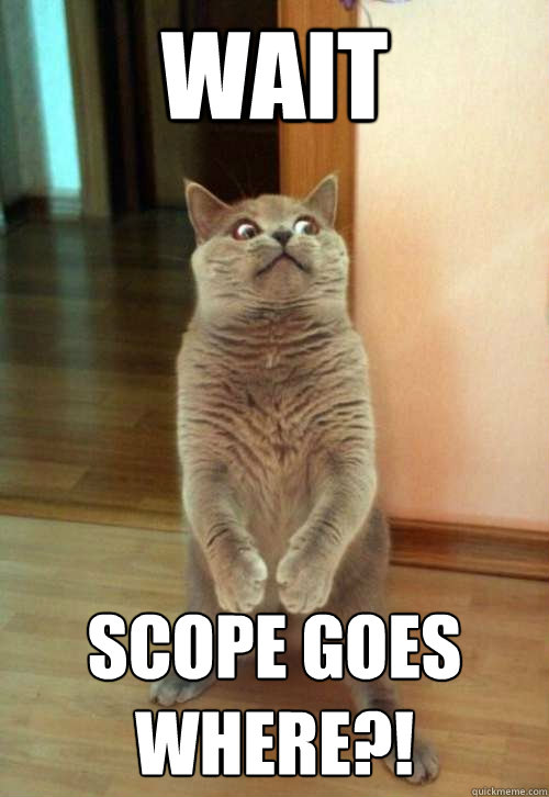 wait scope goes where?!  Horrorcat