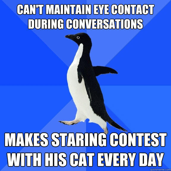 Can't maintain eye contact during conversations makes staring contest with his cat every day - Can't maintain eye contact during conversations makes staring contest with his cat every day  Socially Awkward Penguin