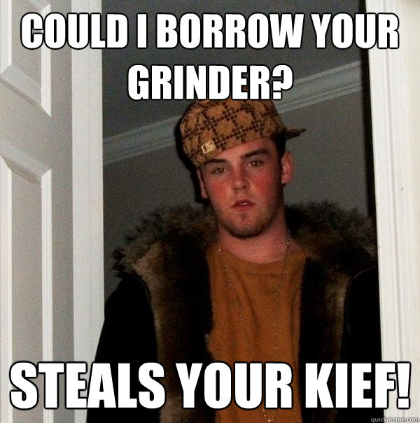 Could i borrow your grinder? steals your kief!  Scumbag Steve