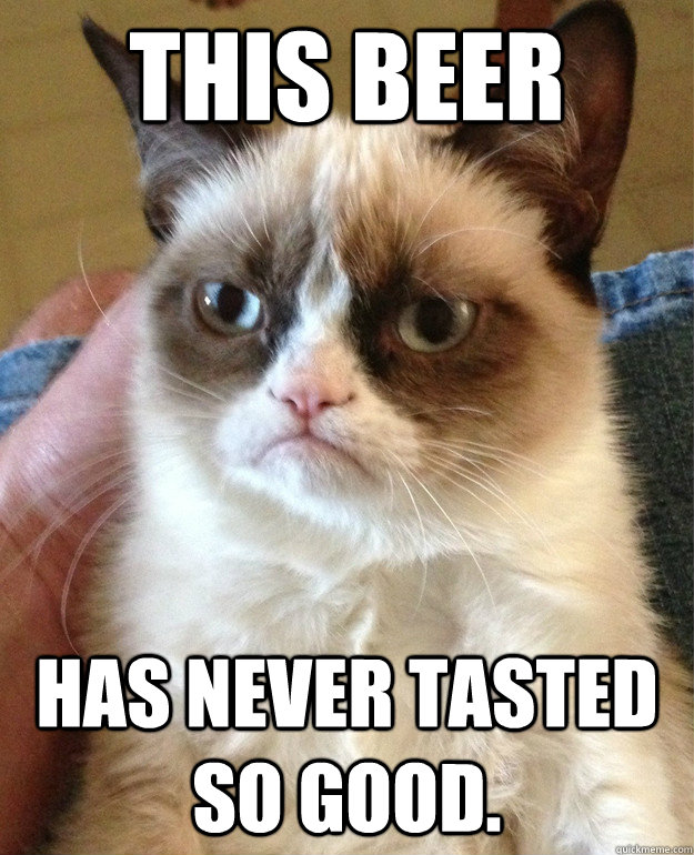 This beer Has never tasted so good.  Grumpy Cat