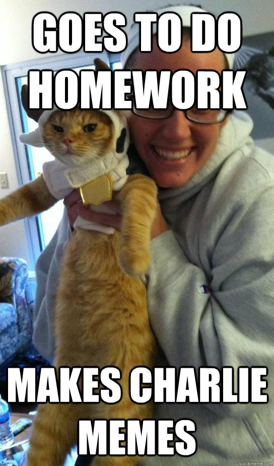 goes to do homework Makes charlie memes - goes to do homework Makes charlie memes  Crazy Cat Lady Jess