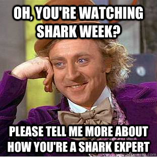 Oh, you're watching Shark week? please tell me more about how you're a shark expert - Oh, you're watching Shark week? please tell me more about how you're a shark expert  Condescending Wonka