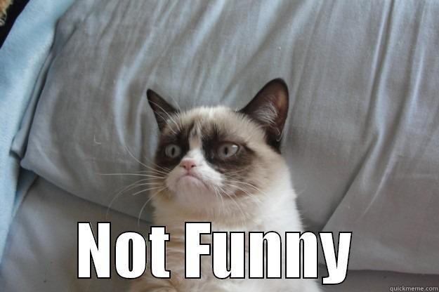 no funny u -  NOT FUNNY Grumpy Cat