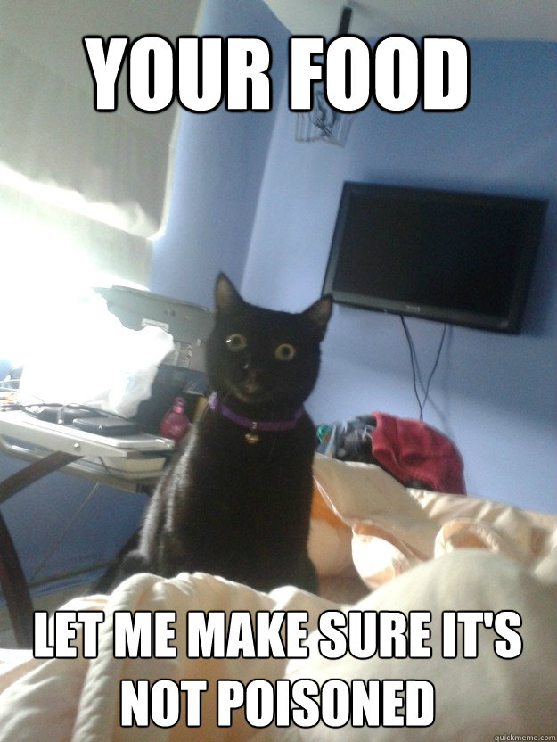 Your food let me make sure it's not poisoned  overly attached cat