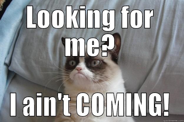 LOOKING FOR ME? I AIN'T COMING! Grumpy Cat