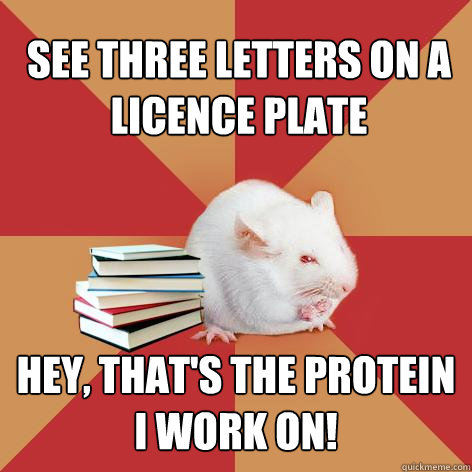 See three letters on a licence plate Hey, that's the protein I work on!  Science Major Mouse