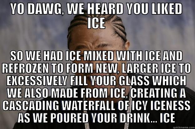 YO DAWG, WE HEARD YOU LIKED ICE SO WE HAD ICE MIXED WITH ICE AND REFROZEN TO FORM NEW, LARGER ICE TO EXCESSIVELY FILL YOUR GLASS WHICH WE ALSO MADE FROM ICE, CREATING A CASCADING WATERFALL OF ICY ICENESS AS WE POURED YOUR DRINK... ICE Xzibit meme
