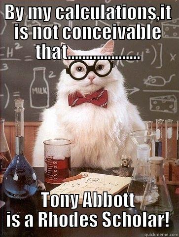 BY MY CALCULATIONS,IT IS NOT CONCEIVABLE THAT.................... TONY ABBOTT IS A RHODES SCHOLAR! Chemistry Cat