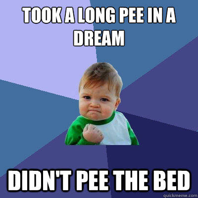 Took a long pee in a dream Didn't pee the bed  Success Kid