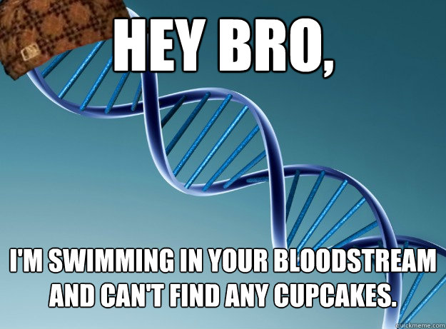 HEY BRO, I'm swimming in your bloodstream and can't find any cupcakes. - HEY BRO, I'm swimming in your bloodstream and can't find any cupcakes.  Scumbag Genetics