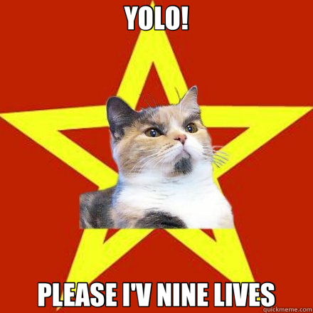 YOLO! PLEASE I'V NINE LIVES  Lenin Cat