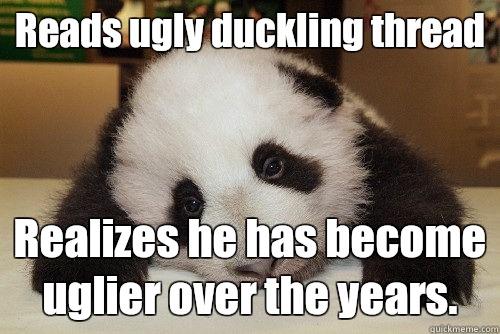 Reads ugly duckling thread Realizes he has become uglier over the years.  - Reads ugly duckling thread Realizes he has become uglier over the years.   Misc