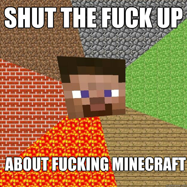 shut the fuck up about fucking minecraft  Minecraft