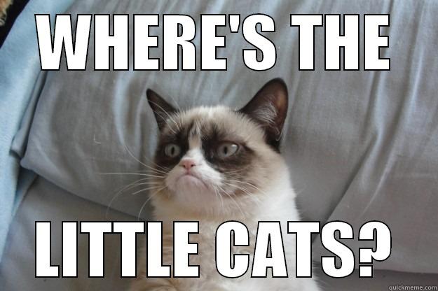 WHERE'S THE LITTLE CATS? Grumpy Cat