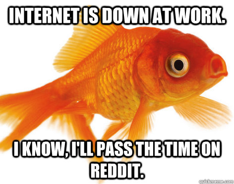 Internet is down at work. I know, I'll pass the time on reddit.  Forgetful Fish