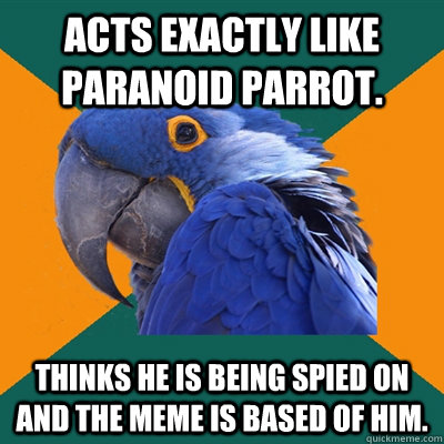 Acts exactly like paranoid parrot. Thinks he is being spied on and the meme is based of him. - Acts exactly like paranoid parrot. Thinks he is being spied on and the meme is based of him.  Paranoid Parrot