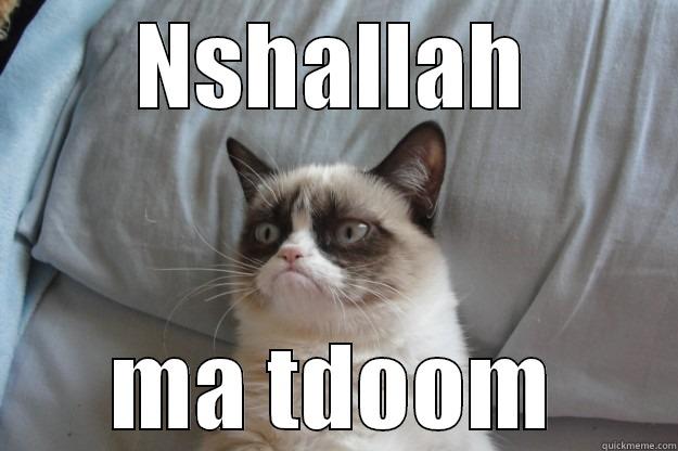 grumpy cat about happiness - NSHALLAH MA TDOOM Grumpy Cat