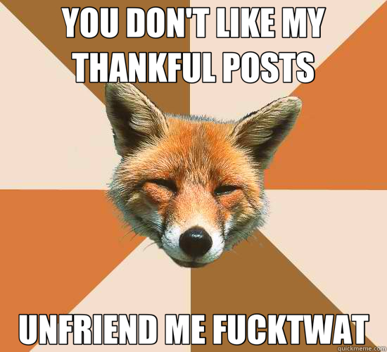 YOU DON'T LIKE MY THANKFUL POSTS UNFRIEND ME FUCKTWAT  Condescending Fox