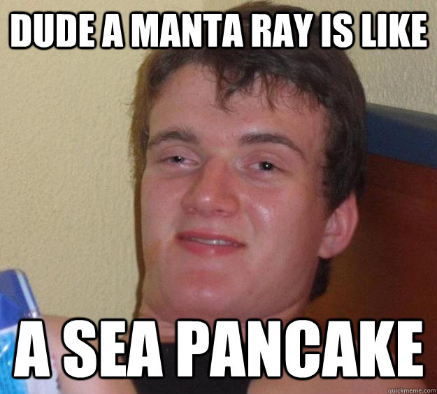 Dude a Manta Ray is like A sea pancake - Dude a Manta Ray is like A sea pancake  10 Guy