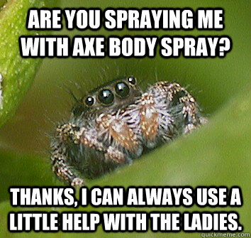 Are you spraying me with axe body spray? Thanks, i can always use a little help with the ladies. - Are you spraying me with axe body spray? Thanks, i can always use a little help with the ladies.  Misunderstood Spider