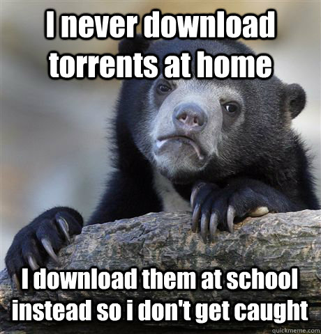 I never download torrents at home I download them at school instead so i don't get caught  - I never download torrents at home I download them at school instead so i don't get caught   Confession Bear