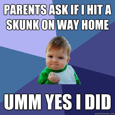 Parents ask if i hit a skunk on way home umm yes i did  Success Kid