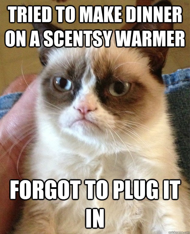 TRIED TO MAKE DINNER ON A SCENTSY WARMER FORGOT TO PLUG IT IN  Grumpy Cat