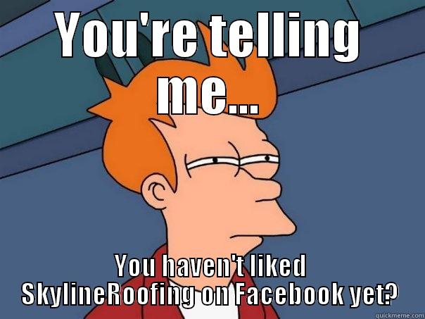 Ah, Come On! - YOU'RE TELLING ME... YOU HAVEN'T LIKED SKYLINEROOFING ON FACEBOOK YET? Futurama Fry