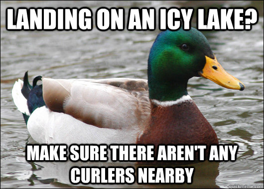 Landing on an icy lake? Make sure there aren't any  curlers nearby  BadBadMallard