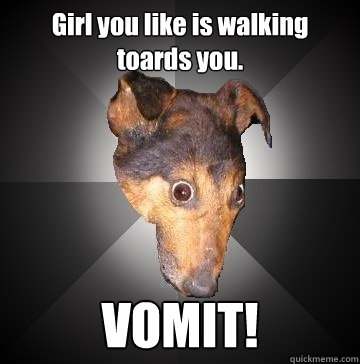 Girl you like is walking toards you. VOMIT!  Depression Dog