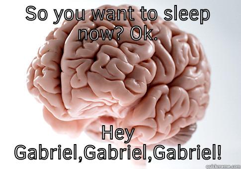 SO YOU WANT TO SLEEP NOW? OK. HEY GABRIEL,GABRIEL,GABRIEL! Scumbag Brain