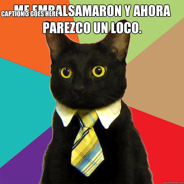 ME EMBALSAMARON Y AHORA PAREZCO UN LOCO.  Caption 3 goes here  Business Cat