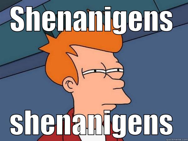 SHENANIGENS SHENANIGENS Futurama Fry