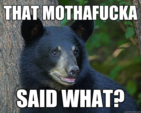 that mothafucka said what?  Sassy black bear