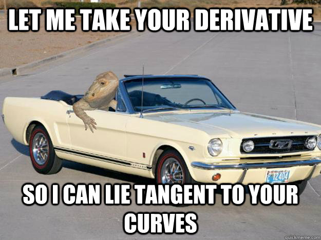 let me take your derivative so i can lie tangent to your curves  Pickup Dragon