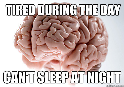  tired during the day can't sleep at night  Scumbag Brain