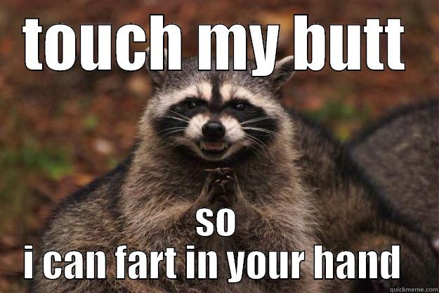 Hi seev!  - TOUCH MY BUTT SO I CAN FART IN YOUR HAND  Evil Plotting Raccoon