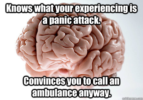 Knows what your experiencing is a panic attack. Convinces you to call an ambulance anyway.   Scumbag Brain