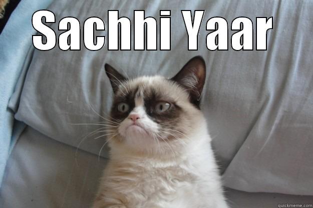 SACHHI YAAR  Grumpy Cat