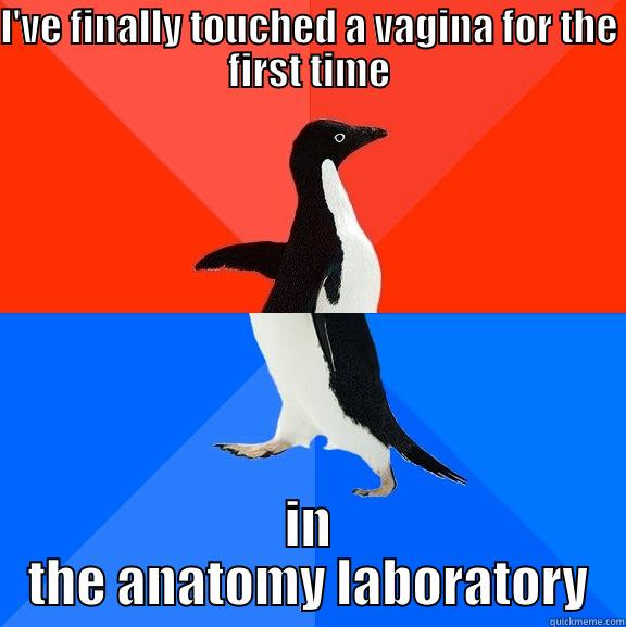 Lifetime achievement - I'VE FINALLY TOUCHED A VAGINA FOR THE FIRST TIME IN THE ANATOMY LABORATORY Socially Awesome Awkward Penguin