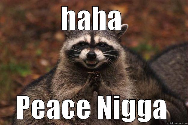 HAHA PEACE NIGGA Evil Plotting Raccoon